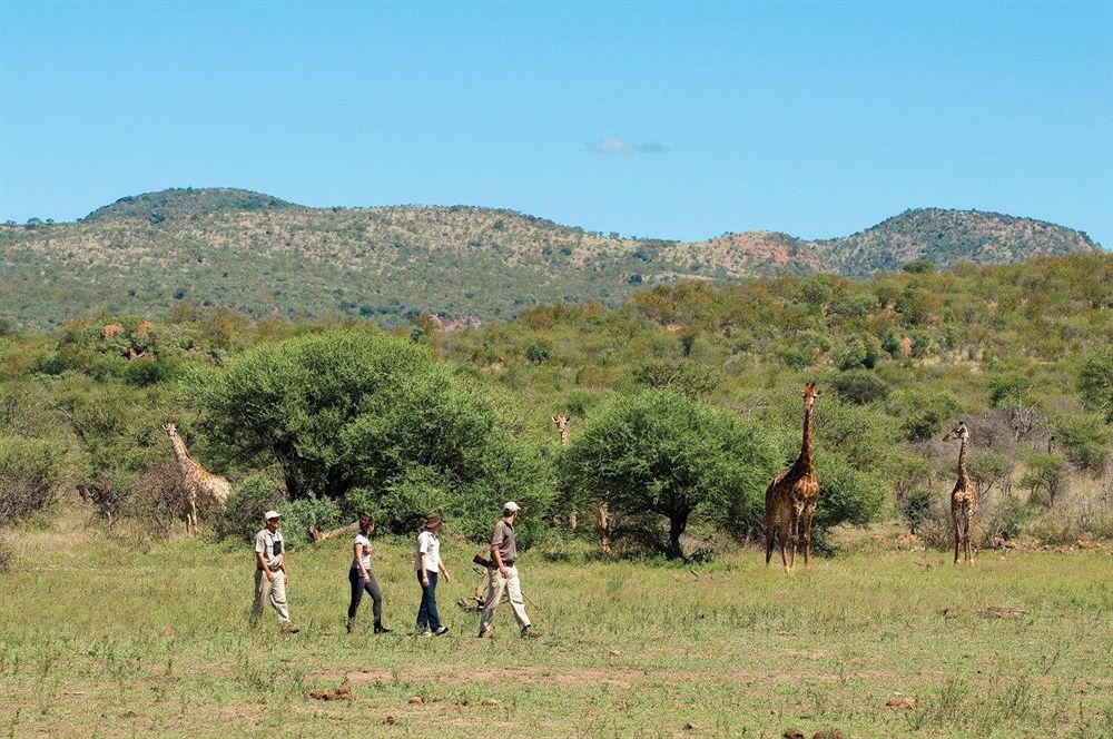 Madikwe Safari Lodge Melorane Exterior foto